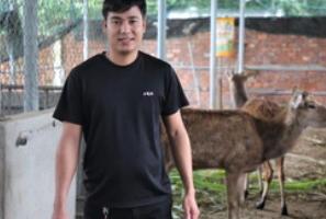 Bỏ việc lương cao, chàng trai về quê nuôi hươu thu 600 triệu đồng mỗi năm