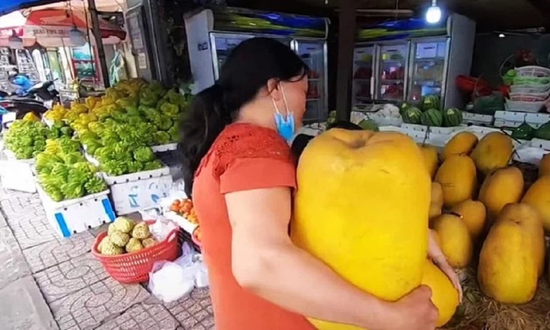 Loại bưởi kỳ đà, 1 ôm vác nặng được bán với cả triệu khiến dân tình tò mò muốn thử hương vị