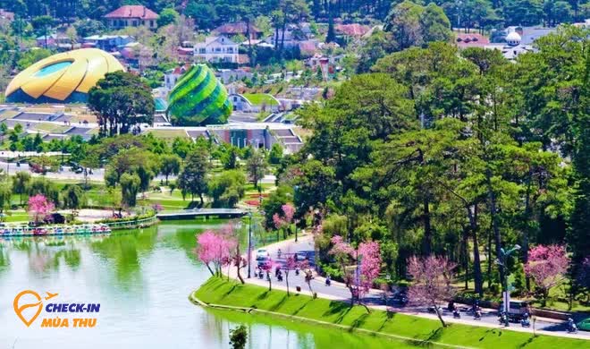 Mùa thu đến Đà Lạt: Có ai cưỡng nổi sức quyến rũ của thức quả này?