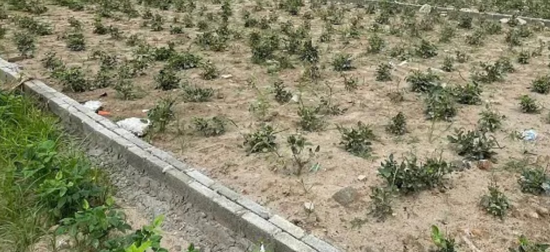 Đất nền Đông Anh lại rục rịch tăng giá sau thông tin Hà Nội thí điểm cơ chế đặc thù